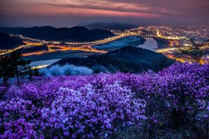 Teach English in Daegu