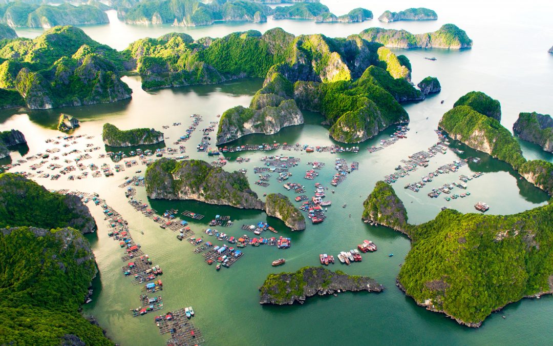 Top 5 Destinations in Vietnam to Teach English